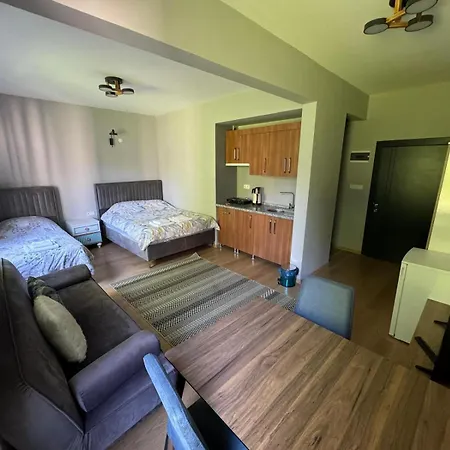 Hotel Nayino *